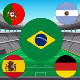 World Cup Flag Match