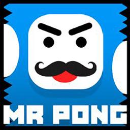 Mr Pong