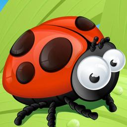 Ladybug Slide