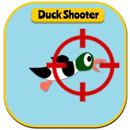 Duck Shooting