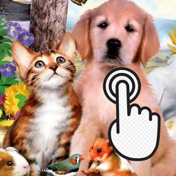 Pets Clicker